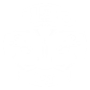 לוגו סנפיר דגים - גלו את טעמם המושלם של הדגים המובחרים של ספיר דגים